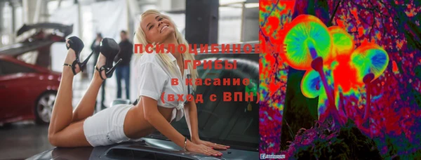 сатива Арсеньев