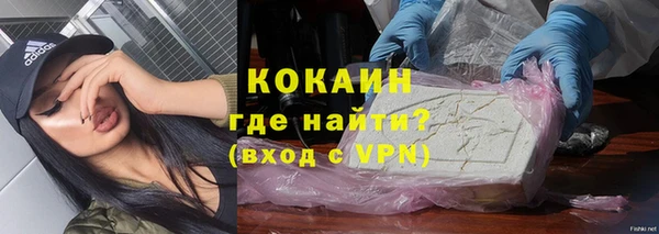 ешки Аркадак