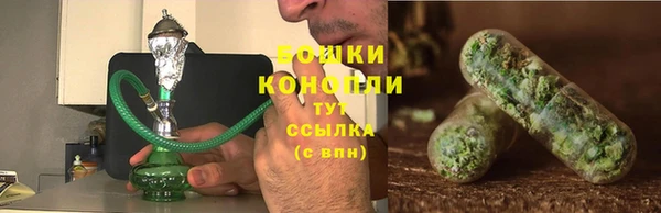 ешки Аркадак