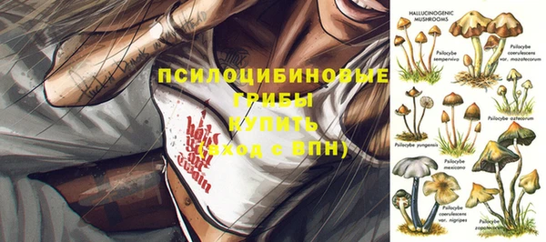 сатива Арсеньев