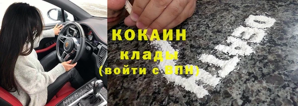 ешки Аркадак