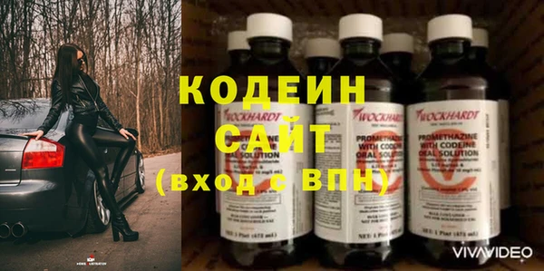 ешки Аркадак