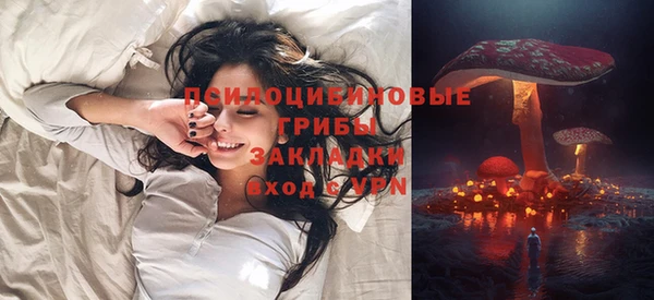 сатива Арсеньев