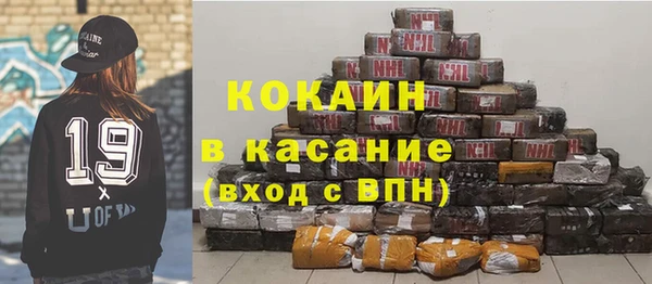 сатива Арсеньев