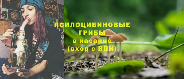 сатива Арсеньев