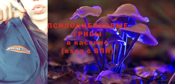 ешки Аркадак